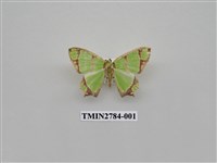 藏品(尺蛾354)的圖片